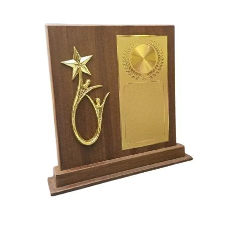 ตามที่แสดง