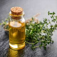 Huile essentielle de thym naturel pur 100% pour l'aromathérapie, la peau et les cheveux | Marque privée OEM/ODM disponible | Exportateur en gros