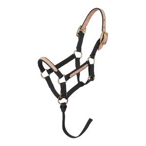 Licou de cheval personnalisé de haute qualité, licou pratique pour chevaux équins - Product Image 1