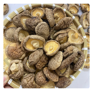 TOP EXPORT Champignons Shiitake Naturels Vietnamiens de Haute Qualité - Product Image 6