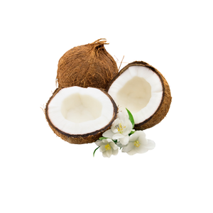 Développement de l'industrie alimentaire biologique avec des produits agricoles séchés à la noix de coco - Product Image 5