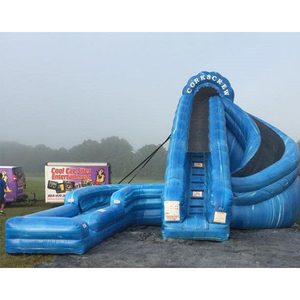 Lớn giá rẻ hồ bơi Slide Inflatable thư bị trả lại nhà hành động không khí trượt nước để bán - Product Image 3