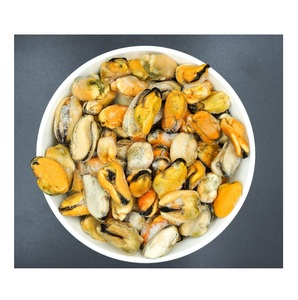 Proveedor Mayorista de Mariscos Congelados: Mejillones Congelados / Carne de Mejillón Congelada, Cantidad a Granel Lista para Exportación, Proceso de Congelación BQF - Product Image 3