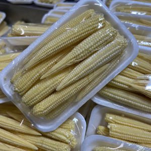 Maïs bébé surgelé de qualité supérieure, fraîcheur préservée dans chaque bouchée, croustillant et sucré, prêt à cuisiner, maïs bébé surgelé pour tous les plats - Product Image 1