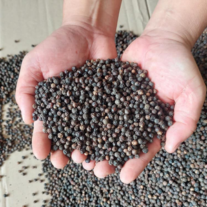 Pimienta negra seca entera directa de fábrica de Vietnam 500gl ~ 550gl Embalaje personalizado Hierba cruda en forma completa Proceso de anuncio Especias individuales Hierbas - Product Image 3