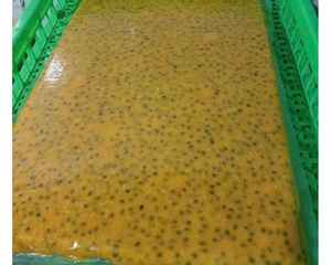 น้ำซุปข้นเสาวรสแช่แข็งจากเวียดนามสำหรับอุตสาหกรรมเครื่องดื่มโรงงานปั่นและ99GD ผลิตขนม - Product Image 6