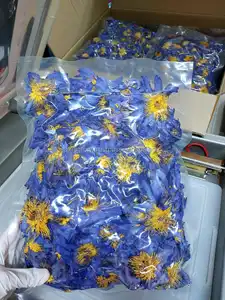 Fleur de Lotus bleu égyptien de qualité supérieure fleurs entières herbe séchée biologique fleur comestible naturelle tisane Relaxation et sommeil amélioré