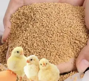 도매 단백질 대량 가금류 사료 식품 등급 대두 생산 라인 닭 판매를위한 전체 지방 대두 식사