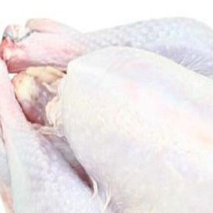 Pollo Entero Congelado Certificado Halal Disponible - Product Image 1