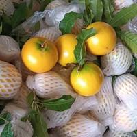 Premium verse sterappel uit Vietnam, natuurlijk zoete smaak, beste keuze voor wereldwijde importeurs