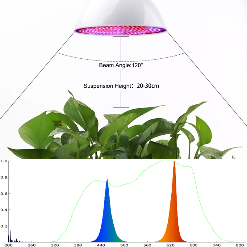 Liweida 60 Watt Indoor LED Grow