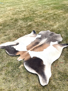 พรมหนังวัวไตรรงค์แท้ลายจุดพรมหนังวัวบราซิล - Product Image 5