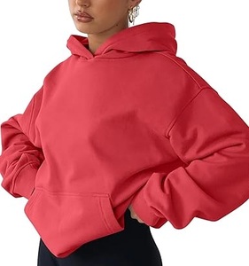 Pull à capuche étiquette personnalisée meilleur prix qualité bas prix nouveau style français éponge couleur unie poids lourd sweats à capuche pour les femmes - Product Image 1