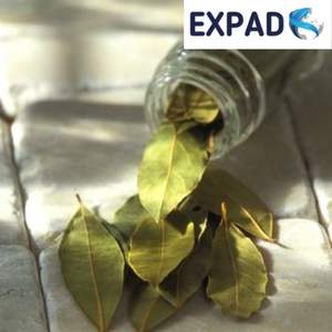 Hojas de Guanábana secas naturales orgánicas, precio barato, hojas de Guanábana, Hojas de Guanábana secas orgánicas - Product Image 3