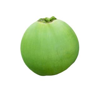 Approvisionnement mondial de noix de coco fraîches matures biologiques avec coquille directement de Ben Tre pour l'exportation - Product Image 6