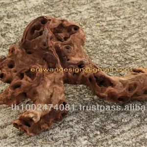 ไม้ลอยน้ำแท้จากประเทศไทย - Product Image 6