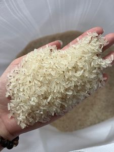 ข้าวเวียดนามคาลโรสเม็ดกลาง เกรดพรีเมียม อาหารเกรด FD แห้ง ได้รับการรับรองมาตรฐาน ISO คุณภาพดีที่สุด ข้าวจากโรงงาน (WA +84918176976-คุณเจน) - Product Image 6