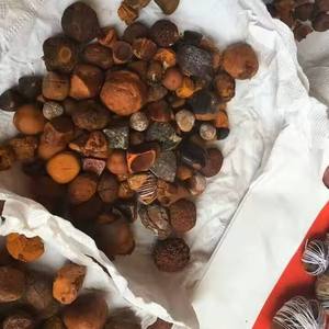 Cálculos Biliares Naturales de Buey/Ganado, Polvo de Bezoar, 100% Natural - Product Image 6