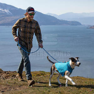 Chaqueta personalizada para perro, ropa de invierno de talla grande, de la mejor calidad - Product Image 6