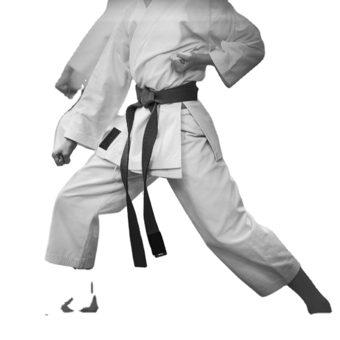 РљСѓРЅРі С„Сѓ Taekwondo