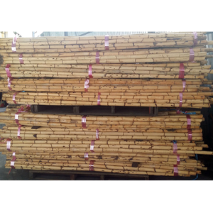 Mejor Precio en Singapur, Material de Ratán de Raíz de Bambú de Alta Calidad y Larga Duración, 3m 4m, para Muebles y Agricultura - Product Image 2