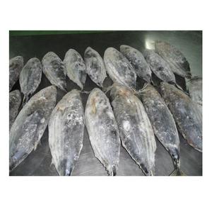 Factory direct tuna whole skipjack frozen clean <b>fish</b> - Product Image 5