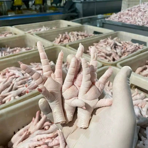 Patas de Pollo Halal Procesadas, Control de Higiene, Calidad de Exportación, Listas para Venta Global, Frescas y Congeladas - Product Image 1
