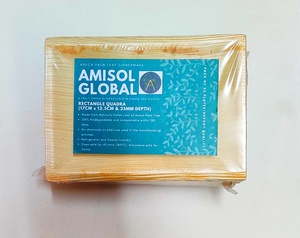 Premium Quality <b>Disposable</b> Rectangular <b>Plates</b> Sturdy and Stylish for Everyday Use Parties and Events - Product Image 5