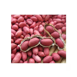 ถั่วลิสงออร์แกนิกปลอดจากธรรมชาติคุณภาพสูง - Product Image 4