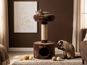 Casa para Gatos Fiona Chocolate Dream con Espacio Acogedor para Escurrirse - Product Image 5