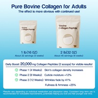 Poudre de collagène bovin pur en vrac poudre de peptide de collagène bovin poudre de collagène bovin hydrolysé