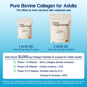 Poudre de collagène bovin pur en vrac poudre de peptide de collagène bovin poudre de collagène bovin hydrolysé - Product Image 6