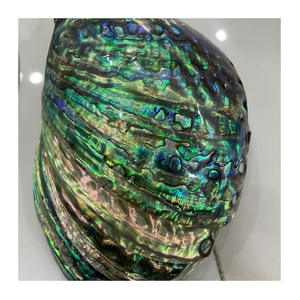 Coquille d'ormeau vietnamien polie brillante, lustre et couleur naturels, artisanat marin de qualité pour l'exportation et article commercial - Product Image 1