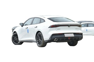 Cheap New Gasoline Car 5 <b>Door</b> 5 Seat Hatchback 188Ps Petrol Vehicle for Sale in Saudi Arabia - Product Image 2