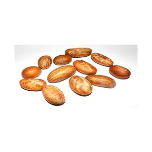 ถั่วโคล่าขมถั่วโคล่าเพื่อสุขภาพสำหรับการส่งออกจำนวนมาก - Product Image 6