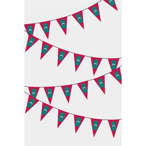 Guirnalda de Banderines Triangulares de Maldivas para Decoración de Fiestas - Product Image 1
