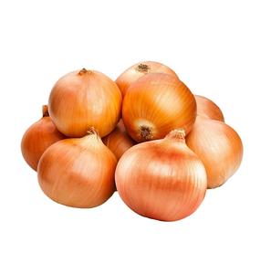 Cebollas Amarillas Orgánicas Frescas Sin Pelar, Tamaño Pequeño, Precio por Tonelada de Exportación - Product Image 5