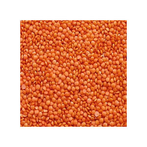 Lentejas rojas de primera calidad para exportación, suministro al por mayor, envío de masoor dal - Product Image 4