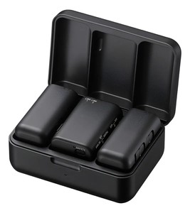 Micrófono Inalámbrico Dinámico de Mano de Doble Canal, Ligero, para Uso en Conferencias - Product Image 1