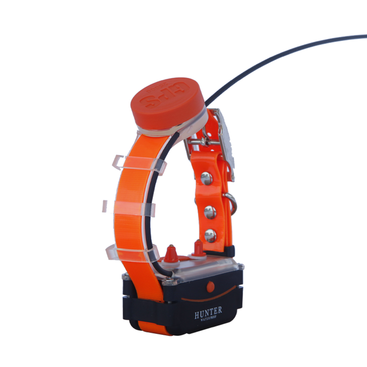 Waterproof dog gps tracker collar with training function for hunting