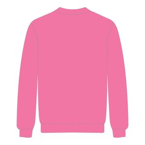 Felpa con Maniche Raglan Rosa Stile HBCU, Ricamo in Ciniglia, Moda Collegiale per Confraternite Greche Divine Nine - Product Image 3