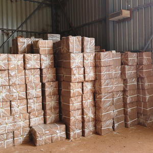 Bloc de tourbe de coco premium fabriqué à partir de fibres de coque de noix de coco 100% naturelles, fabricant vietnamien pour l'horticulture et la culture en serre - Product Image 6