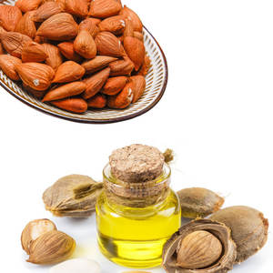 Granos de albaricoque amargo saludable Ingrediente para la producción de aceite de hierbas Producto agrícola - Product Image 6