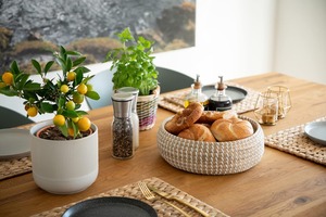 Tazón de algas marinas trenzadas redondas decorativas, vajilla Natural, decoración de presentación de comida, productos vietnamitas al por mayor ecológicos - Product Image 5