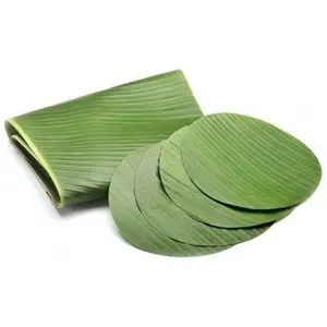 Best selling dried banana leaves competitive price high quality from Vietnam Standard export banana leaves