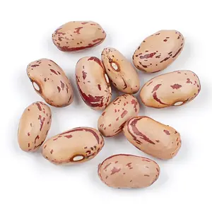 Widely Used Superior Quality Kidney Pinto Beans Wholesale Light Speckled Kidney Bean