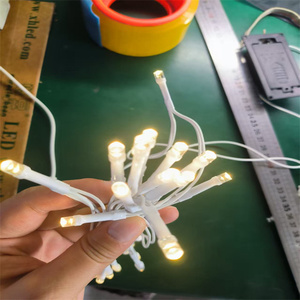 5 mét <span class=keywords><strong>Led</strong></span> điểm <span class=keywords><strong>pixel</strong></span> đèn ấm cho trang trí trong nhà - Product Image 2