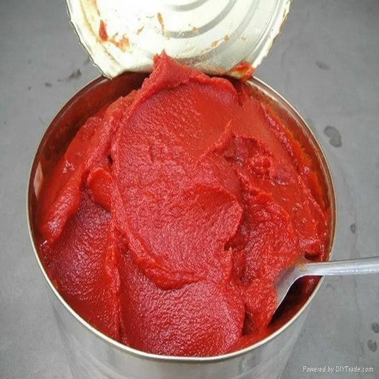 Müşteri markası ile OEM karton konserve domates sosu