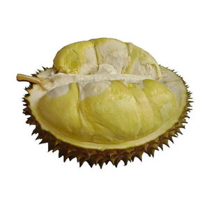 Alta calidad congelado Durian Vietnam congelado Durian pulpa IQF Durian trozos de carne para batidos postres y exportación de alimentos - Product Image 1