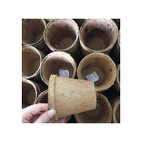 Pots de coco biodégradables pour plantes et fleurs-Pots écologiques en fibre de coco naturelle en gros pour l'exportation mondiale